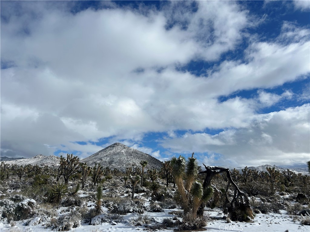 98202 Old Cima Ranch Road