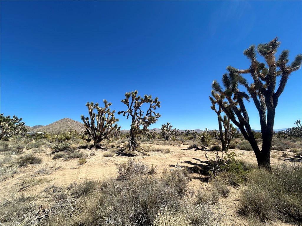 98202 Old Cima Ranch Road