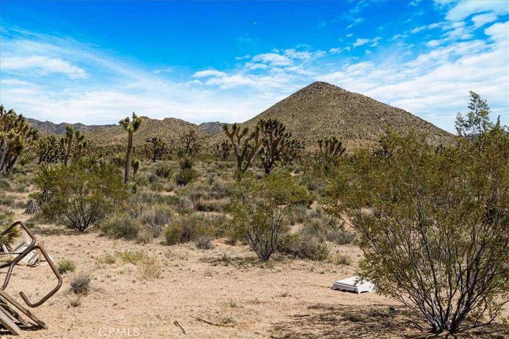98202 Old Cima Ranch Road