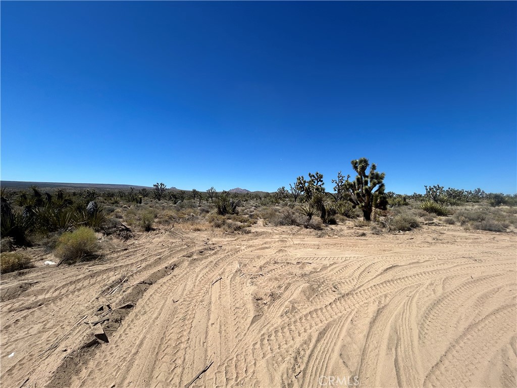 98202 Old Cima Ranch Road