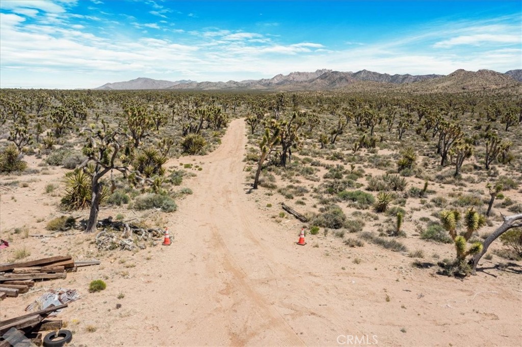 98202 Old Cima Ranch Road
