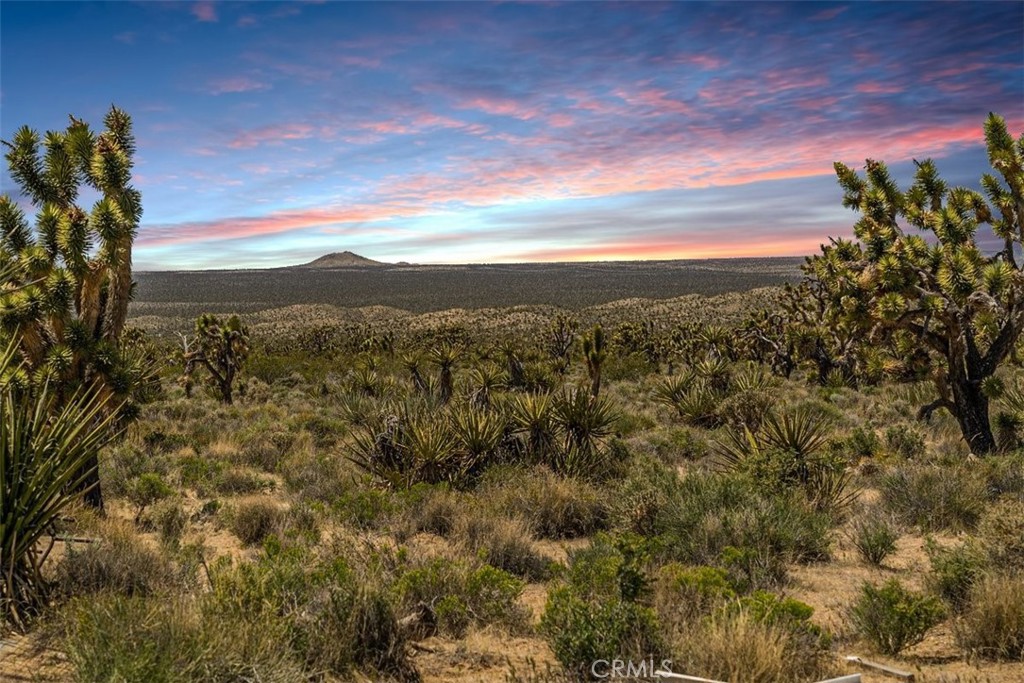 98202 Old Cima Ranch Road