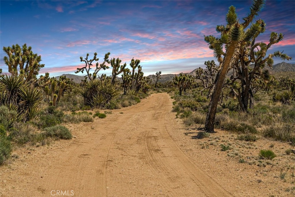 98202 Old Cima Ranch Road