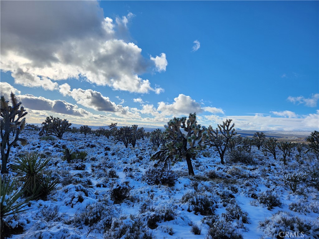 98202 Old Cima Ranch Road
