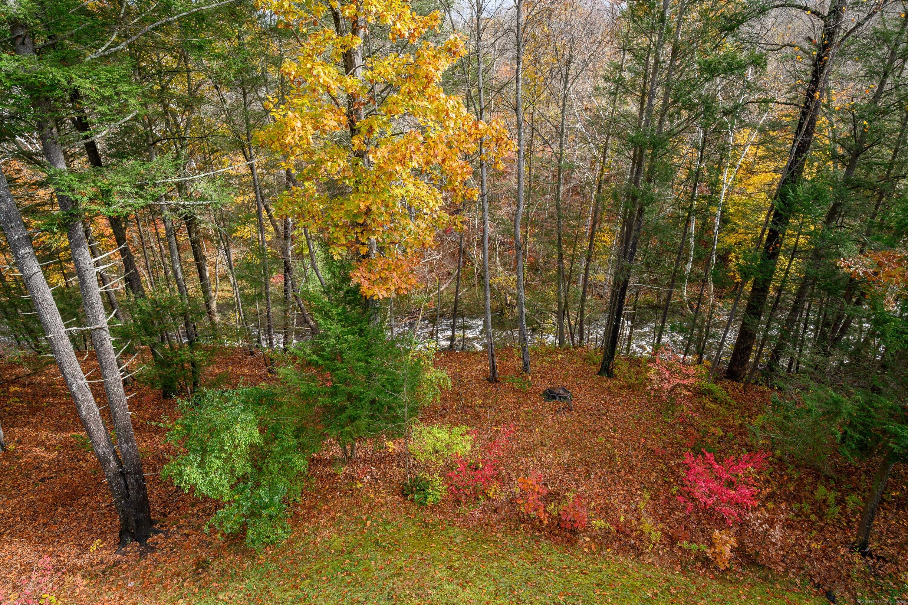 10 Riverview Court 10