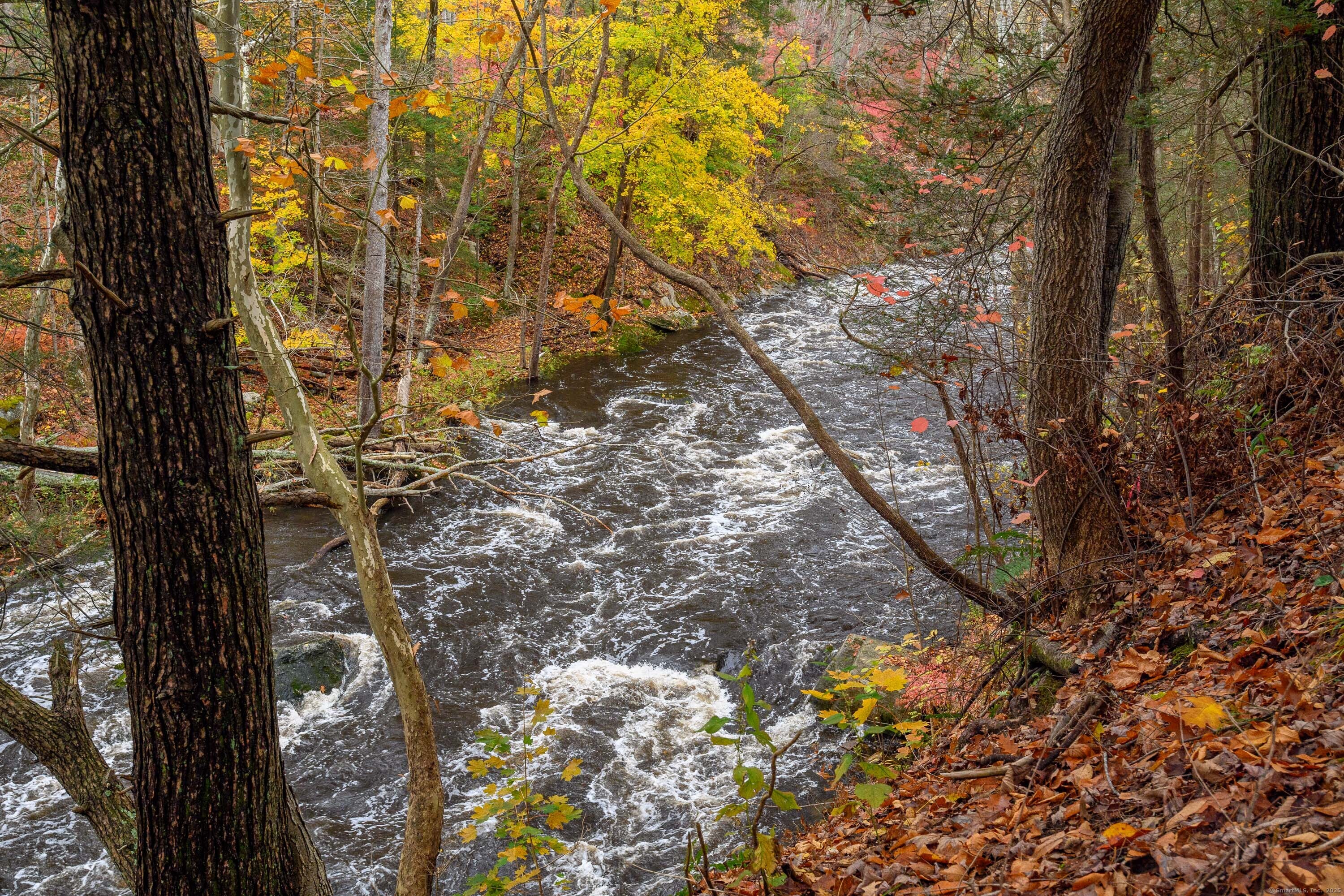 10 Riverview Court 10