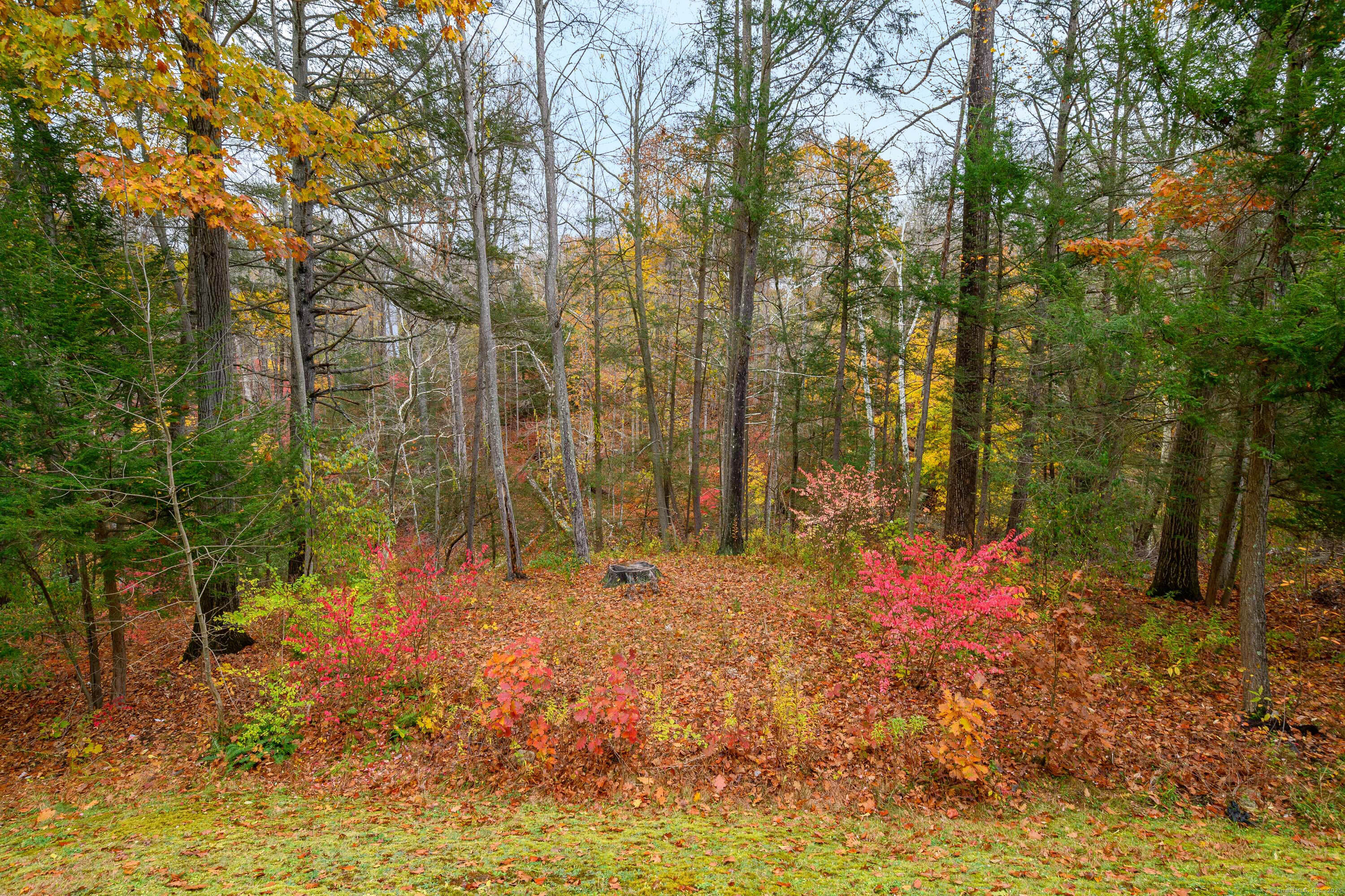 10 Riverview Court 10