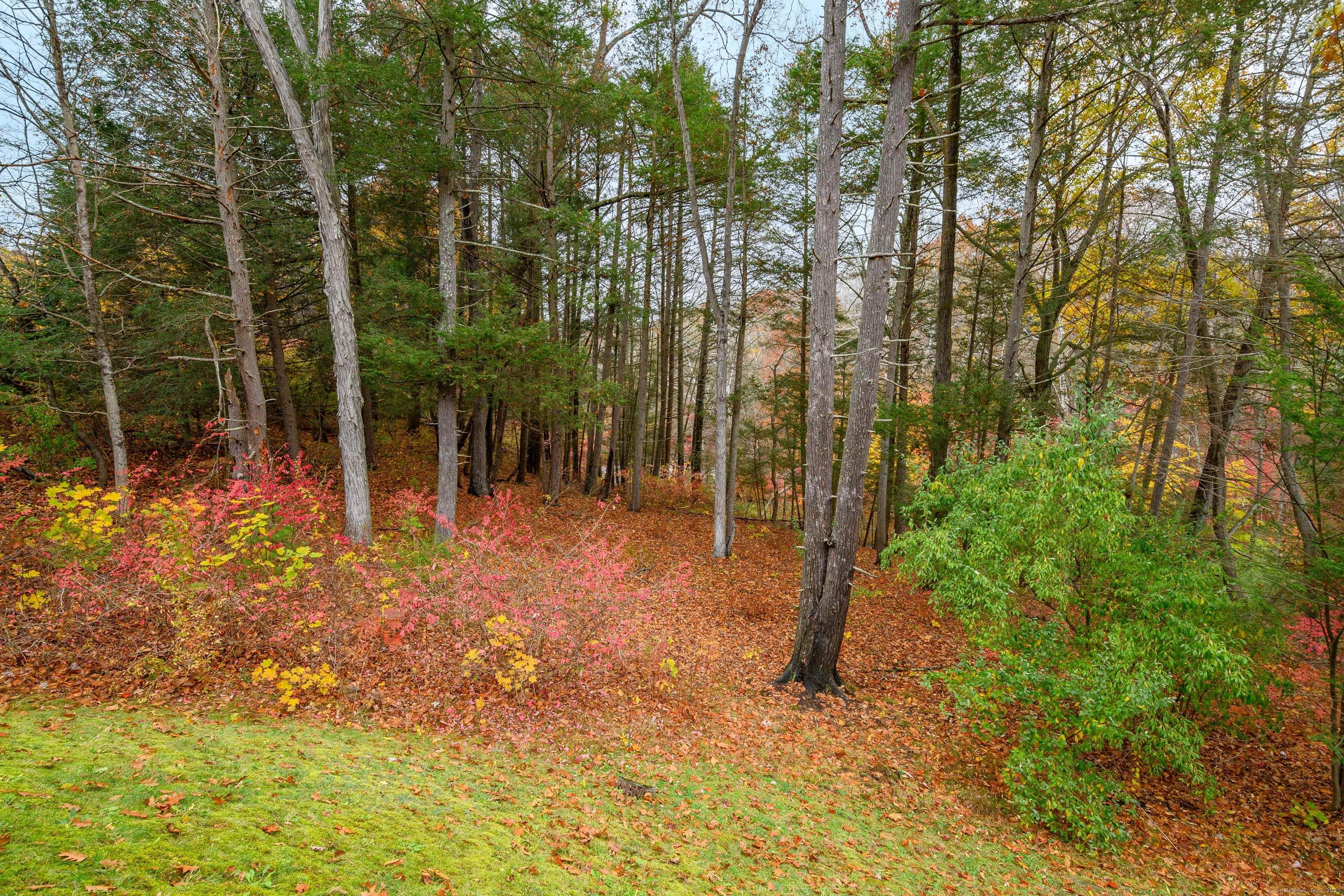 10 Riverview Court 10