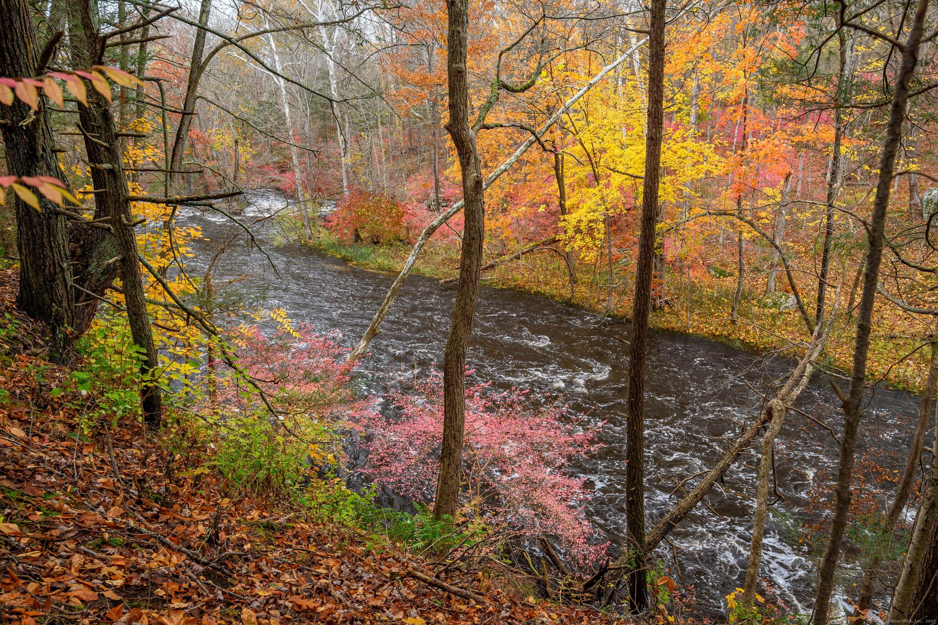 10 Riverview Court 10