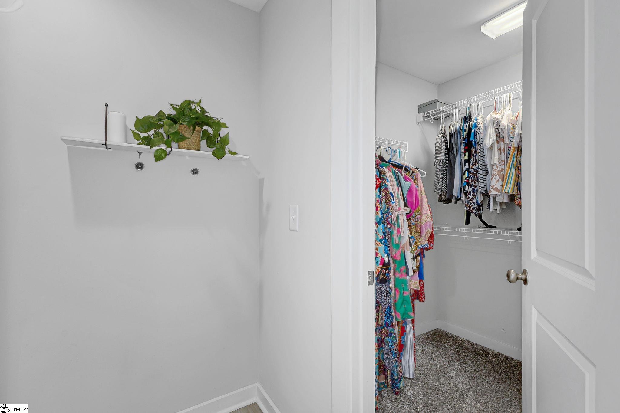 219 Button Willow Street