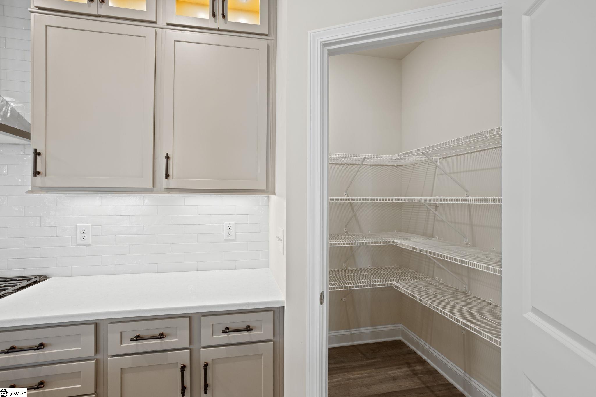300 Ridgebury Place Lot 25, Greenville Unit: Lot 25