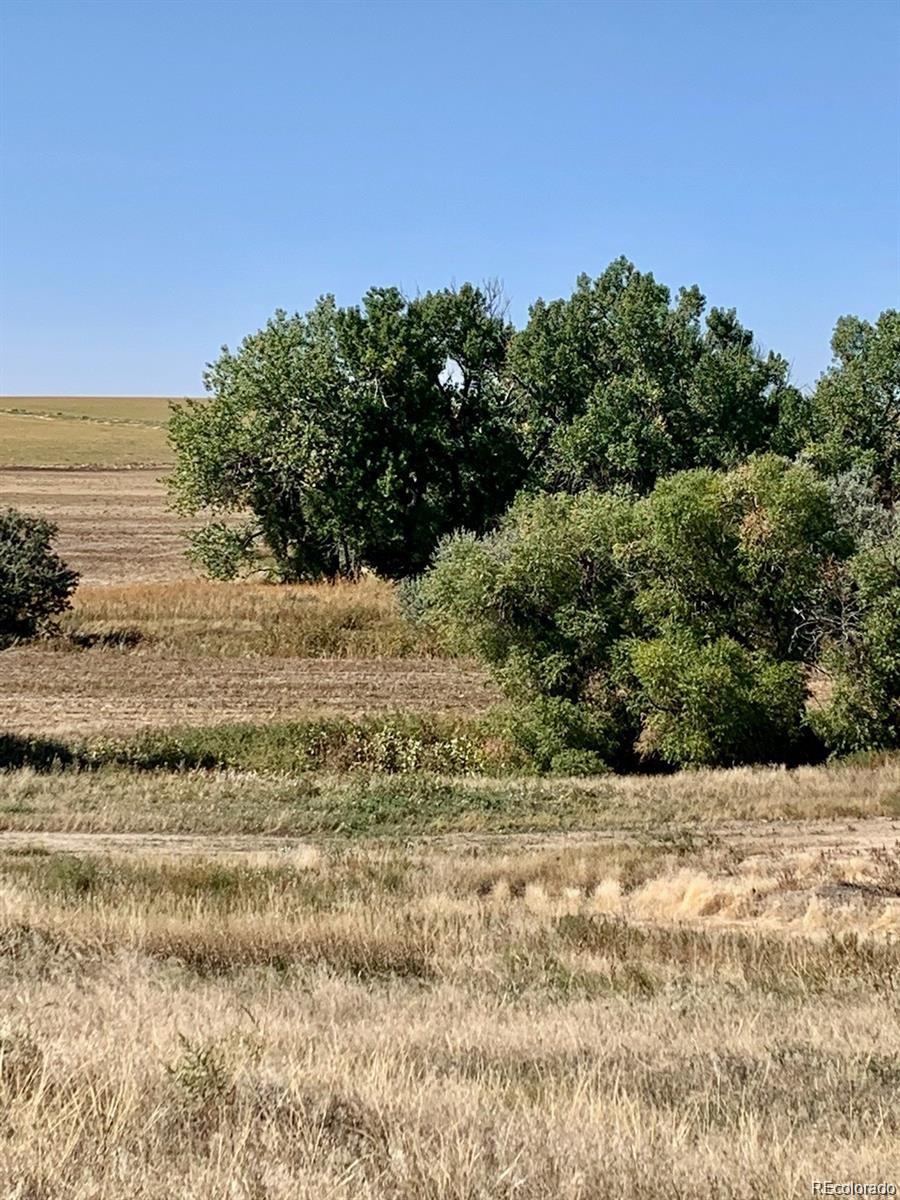 8959 Strasburg Road
