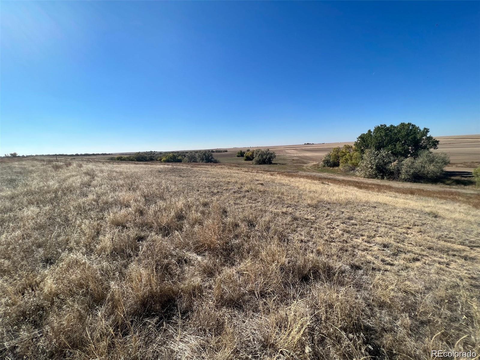 8959 Strasburg Road