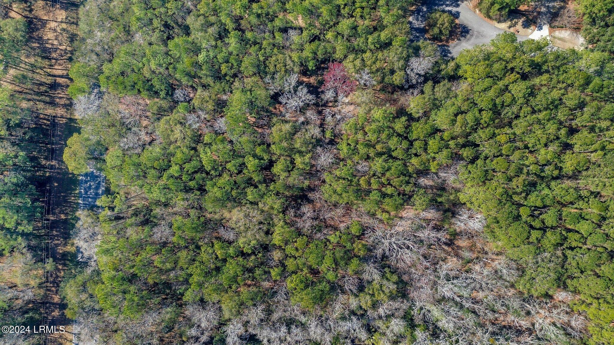83 Rose Dhu Creek Plantation Drive