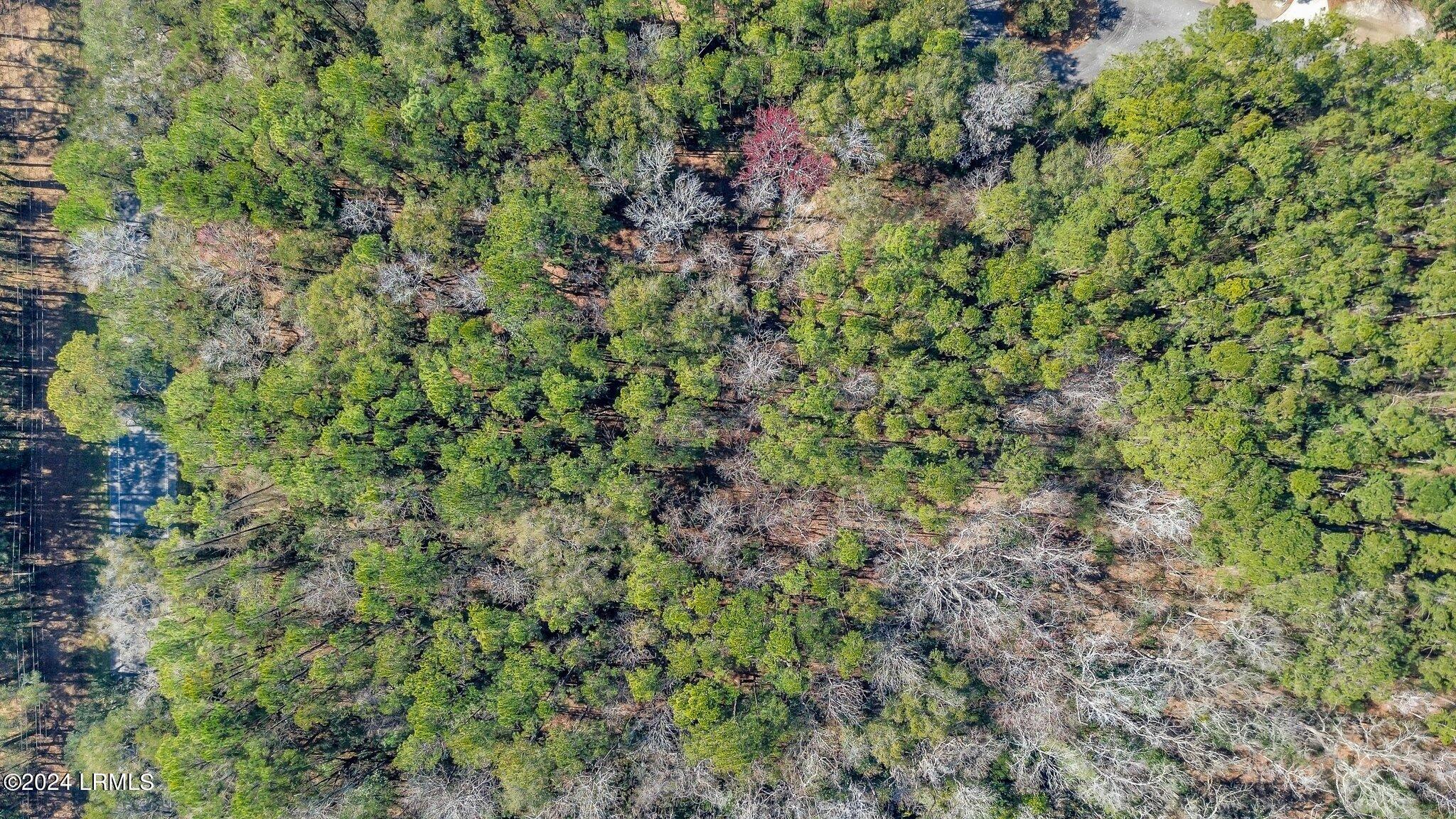 83 Rose Dhu Creek Plantation Drive