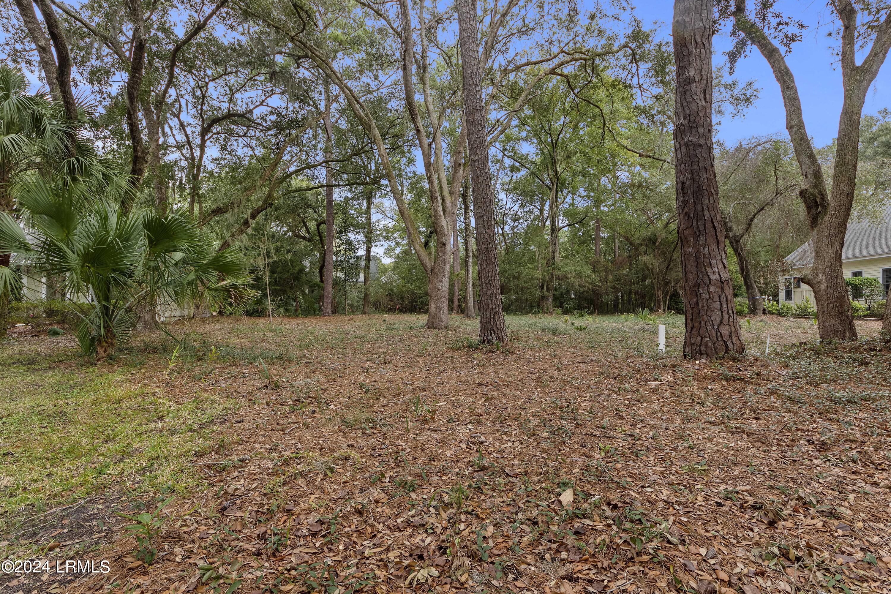 1115 Palmetto