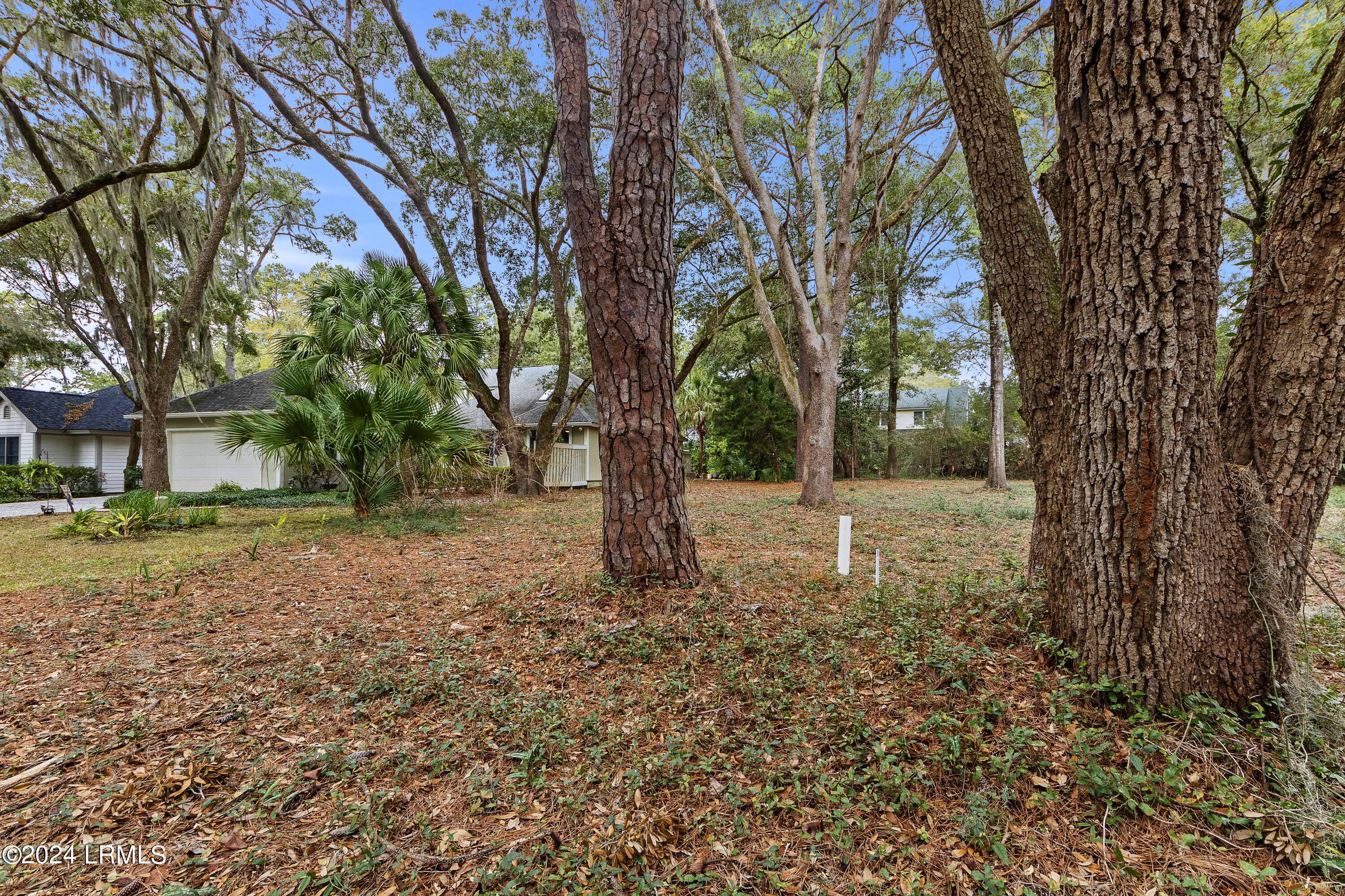 1115 Palmetto