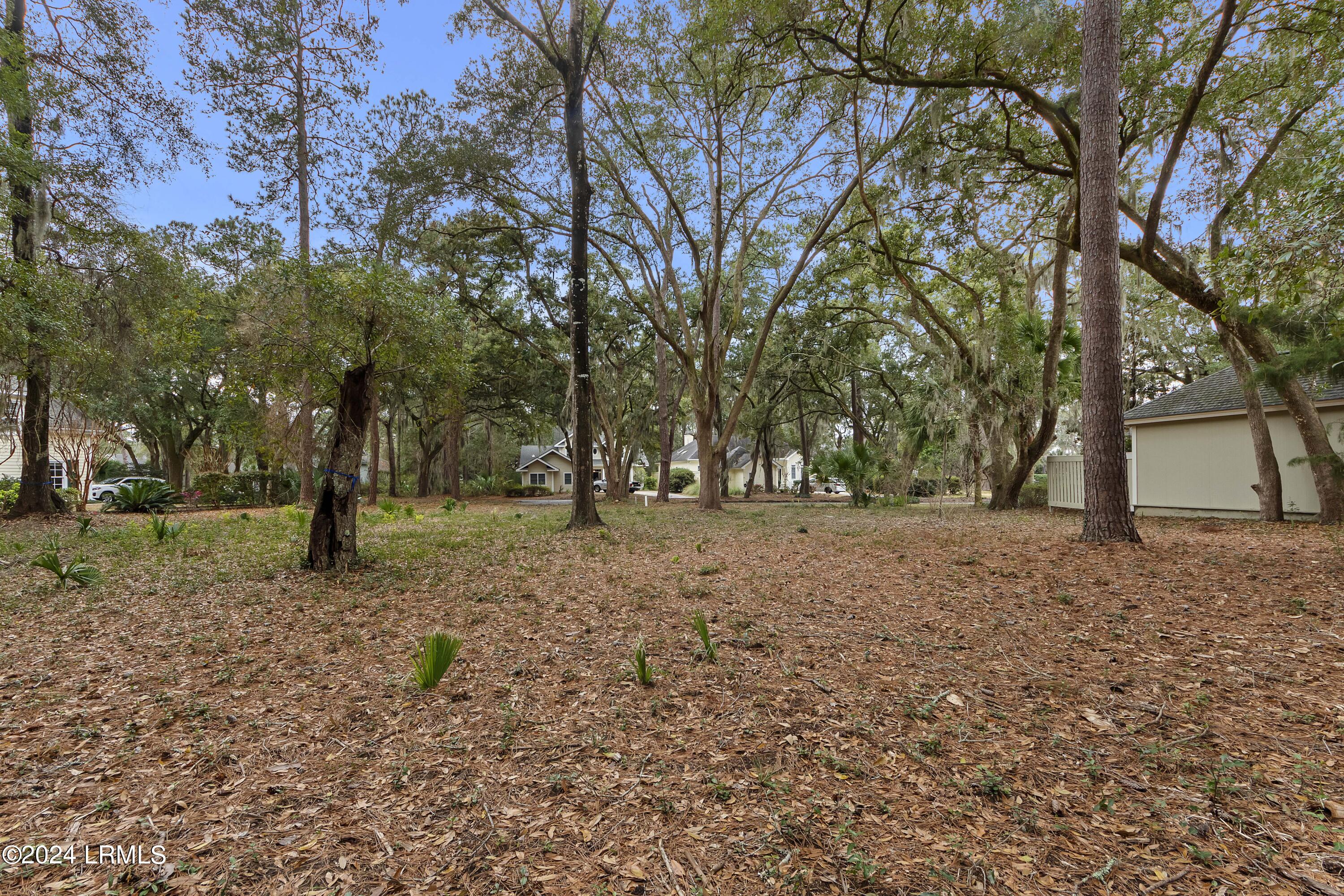 1115 Palmetto