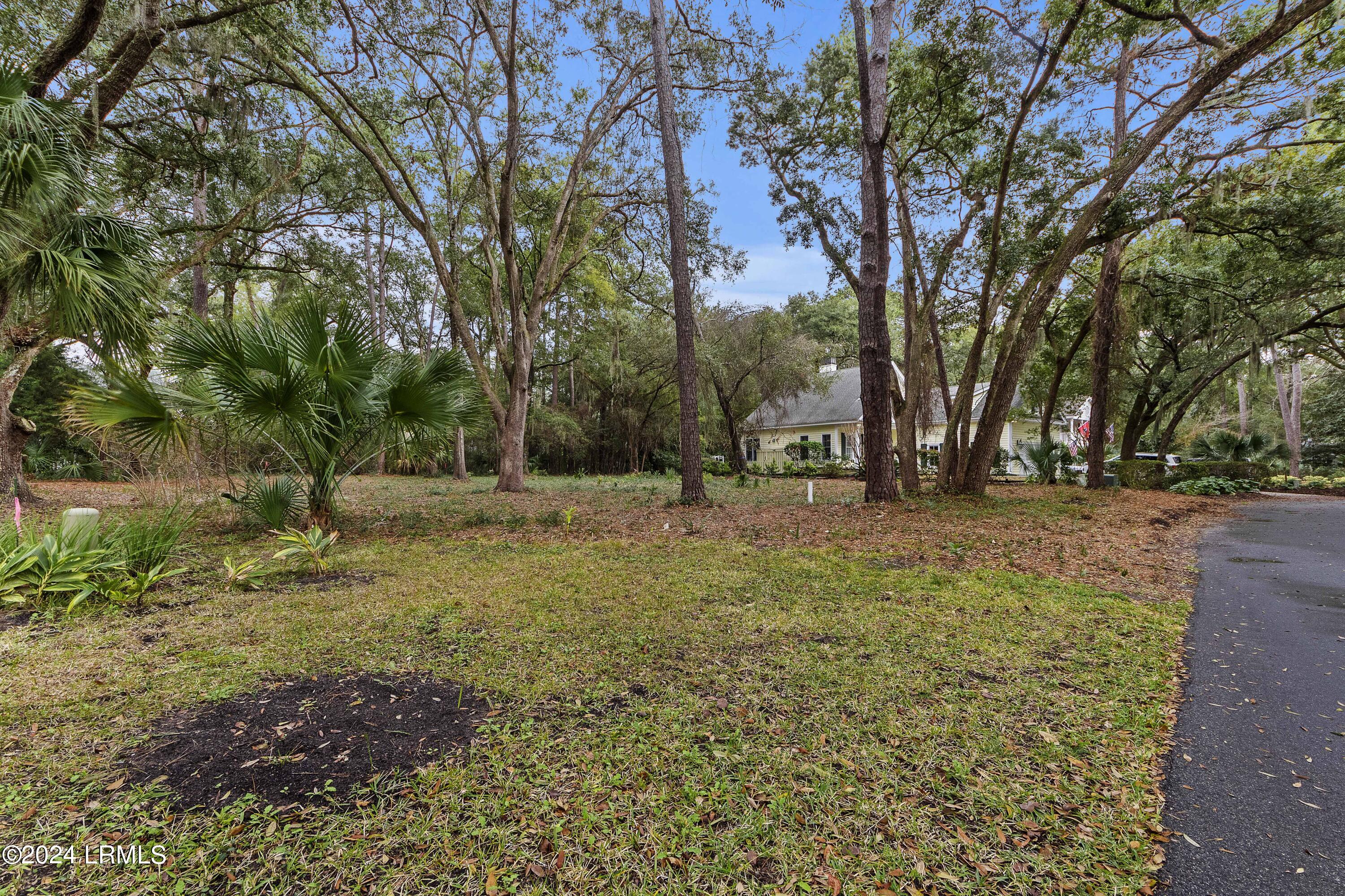 1115 Palmetto