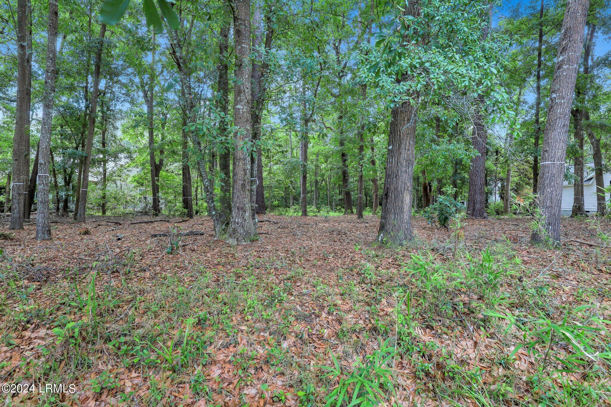 36 Long Lake Drive