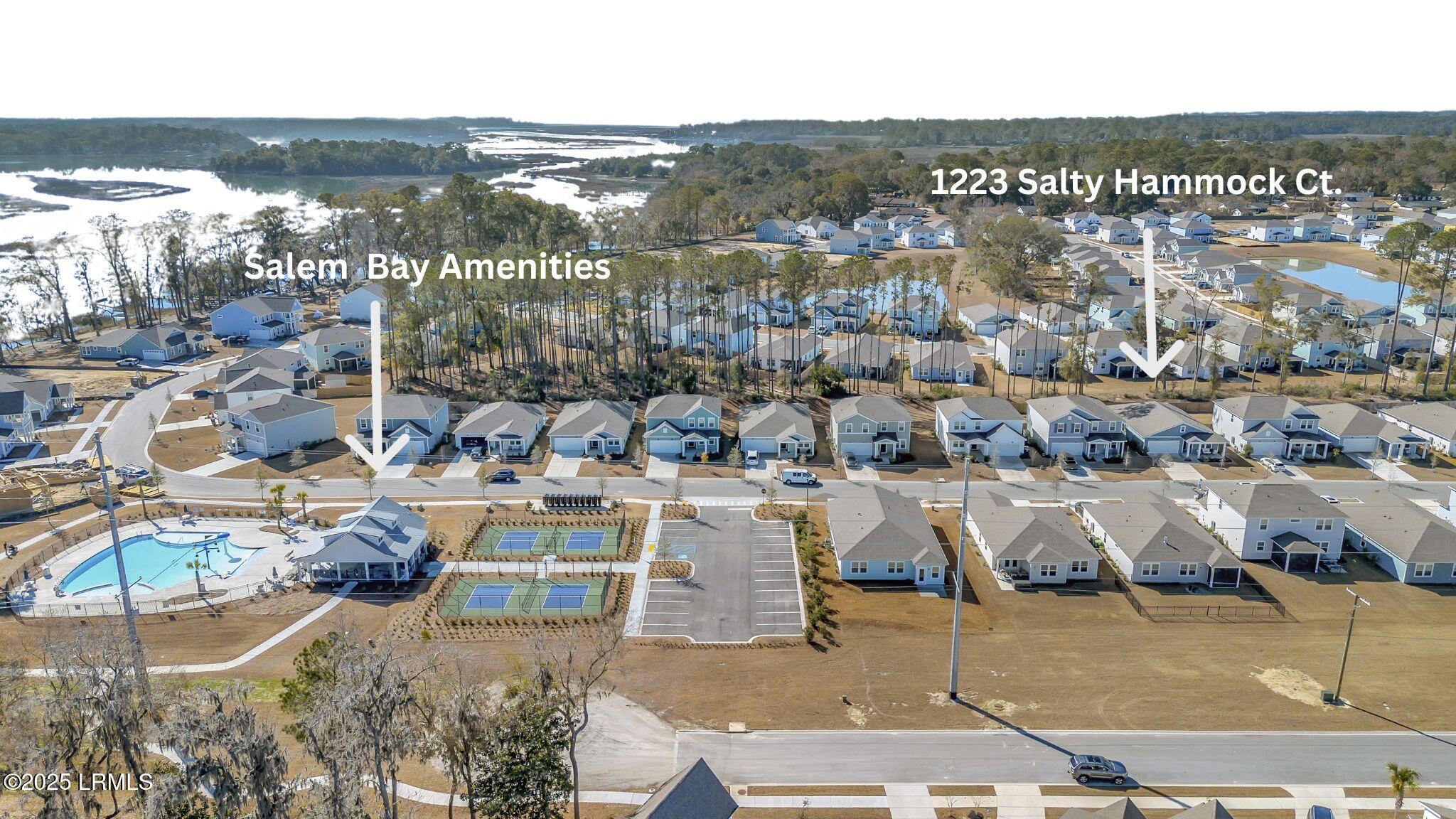 1223 Salty Hammock Court