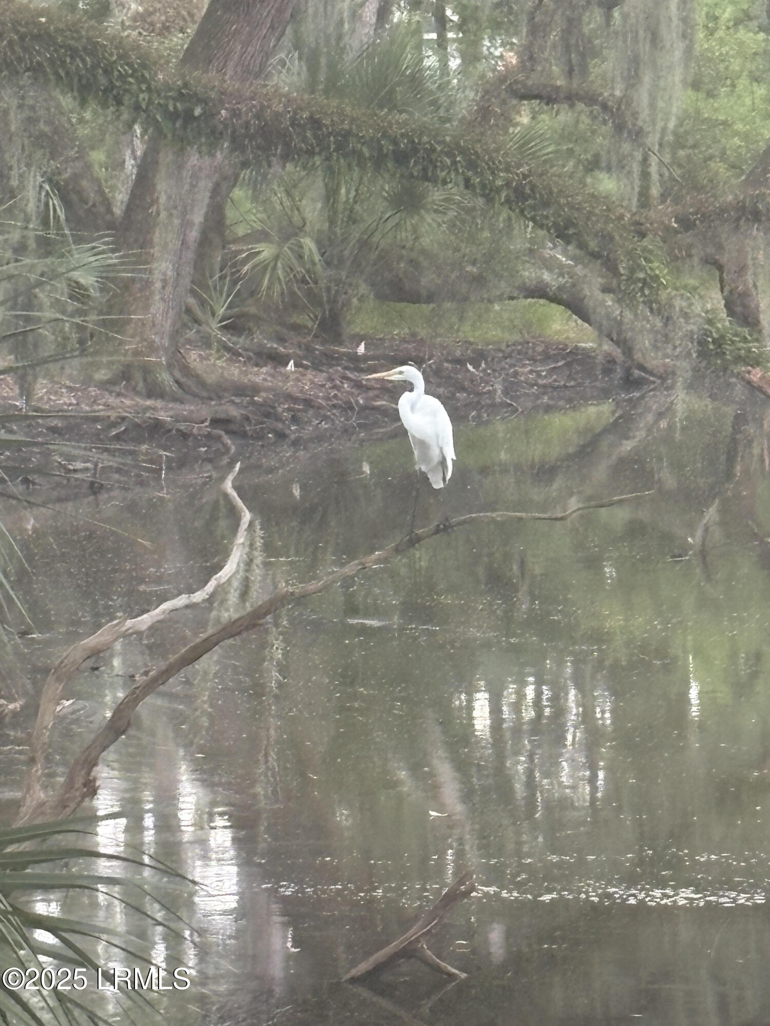 8 Dolphin Point Drive