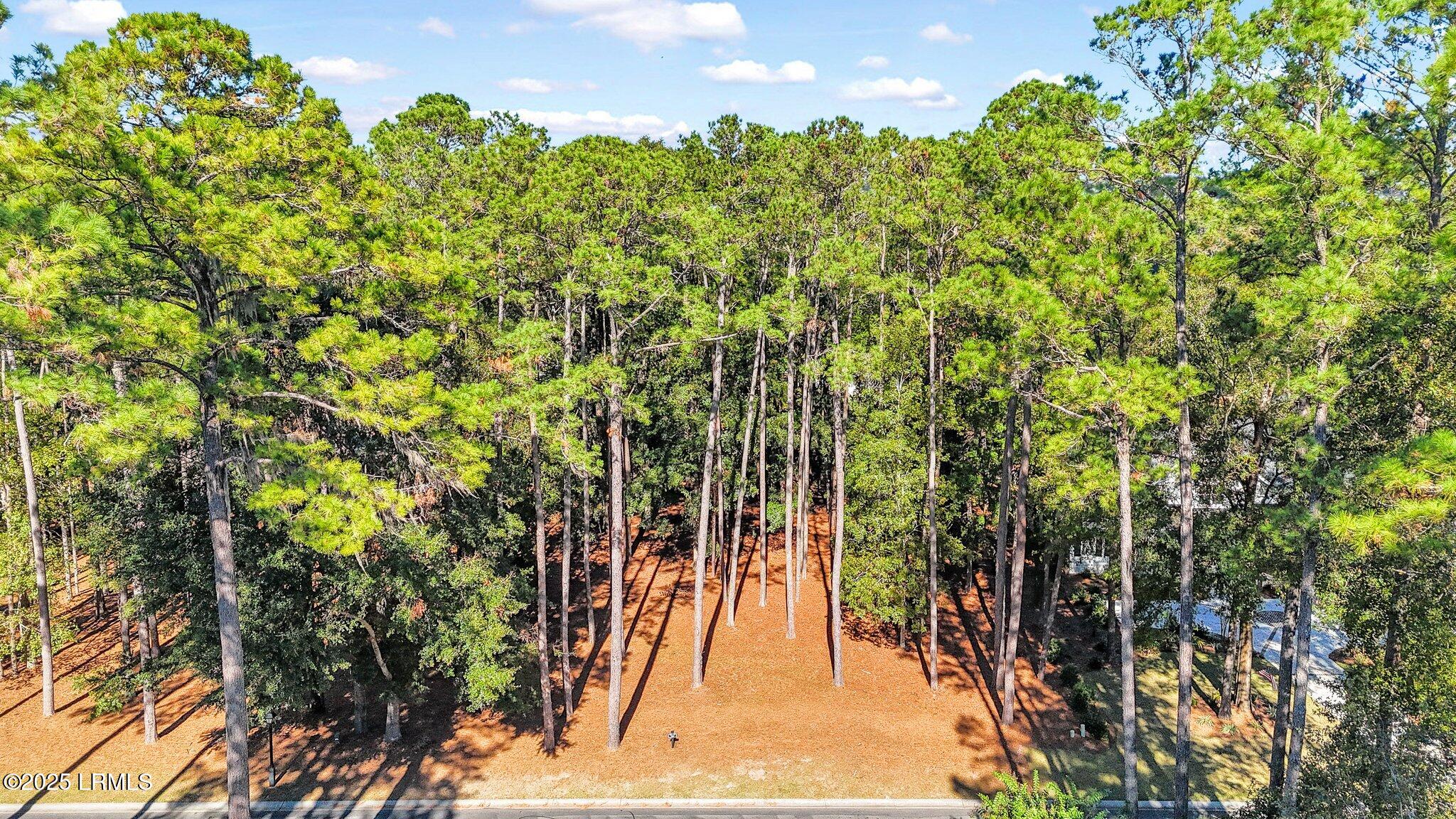 117 Summerton Drive