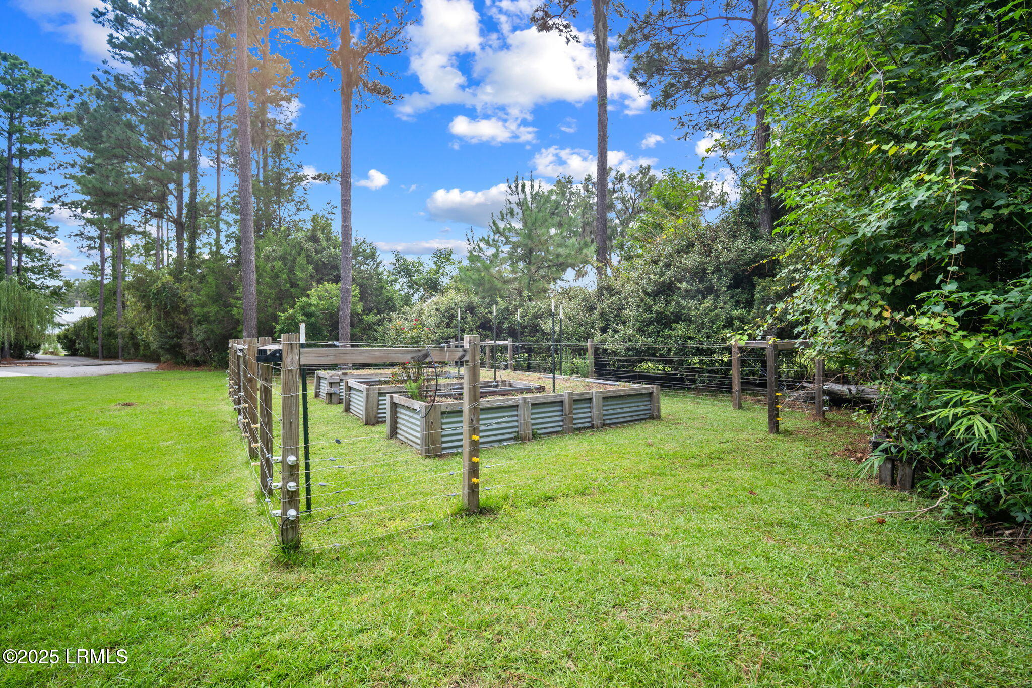 40 Rose Dhu Creek Plantation