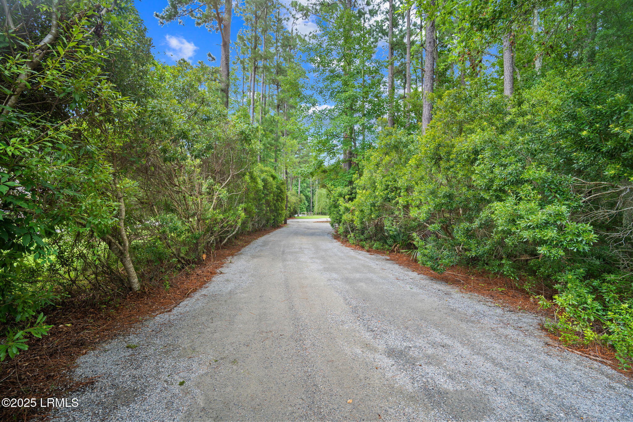 40 Rose Dhu Creek Plantation