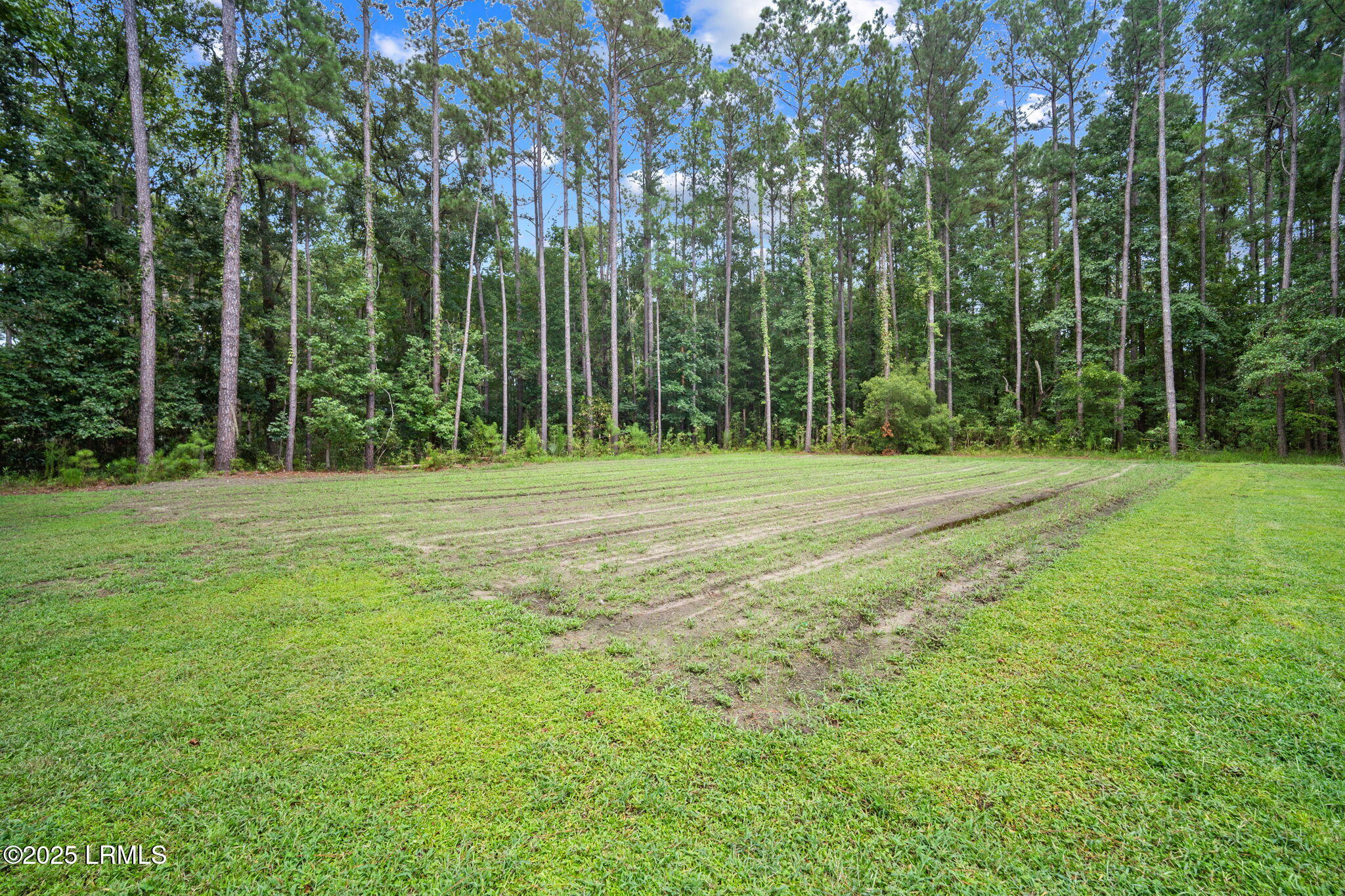 40 Rose Dhu Creek Plantation