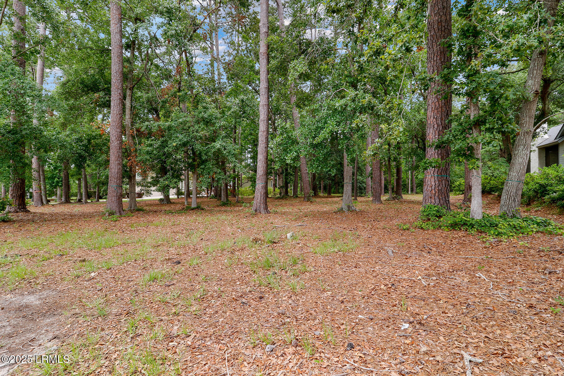 153 Good Hope Road