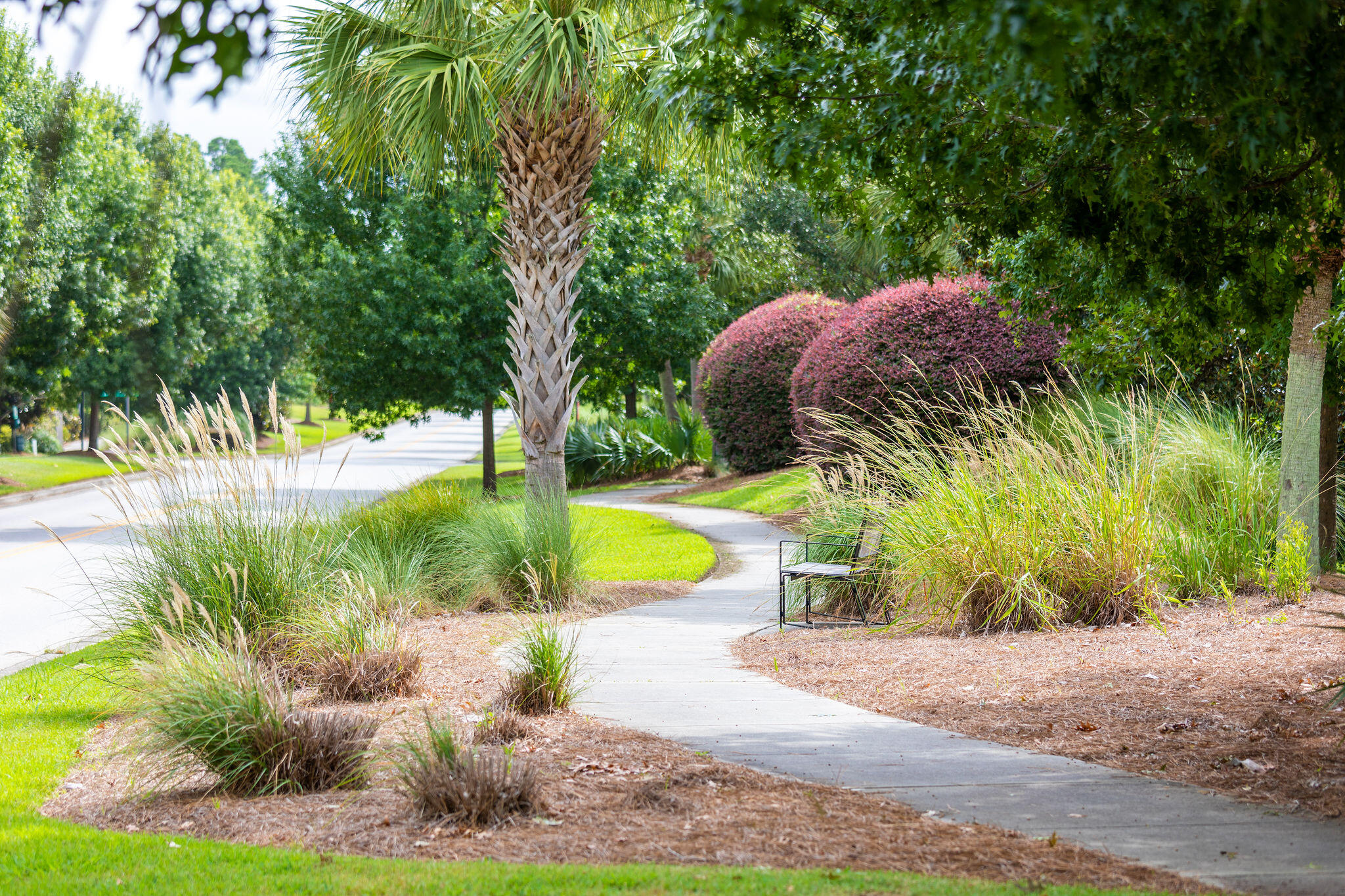 3543 Bayden Bridge Lane