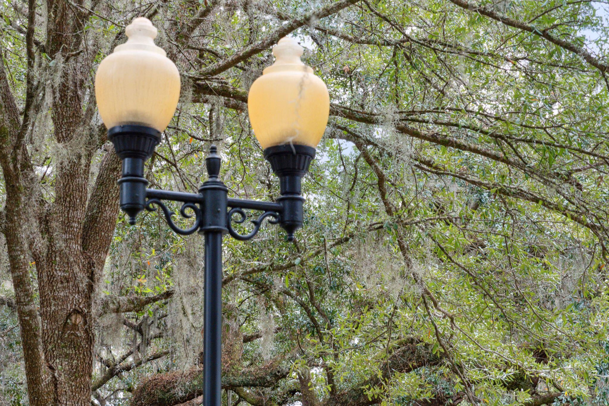 60 Fenwick Hall Allee # 1211