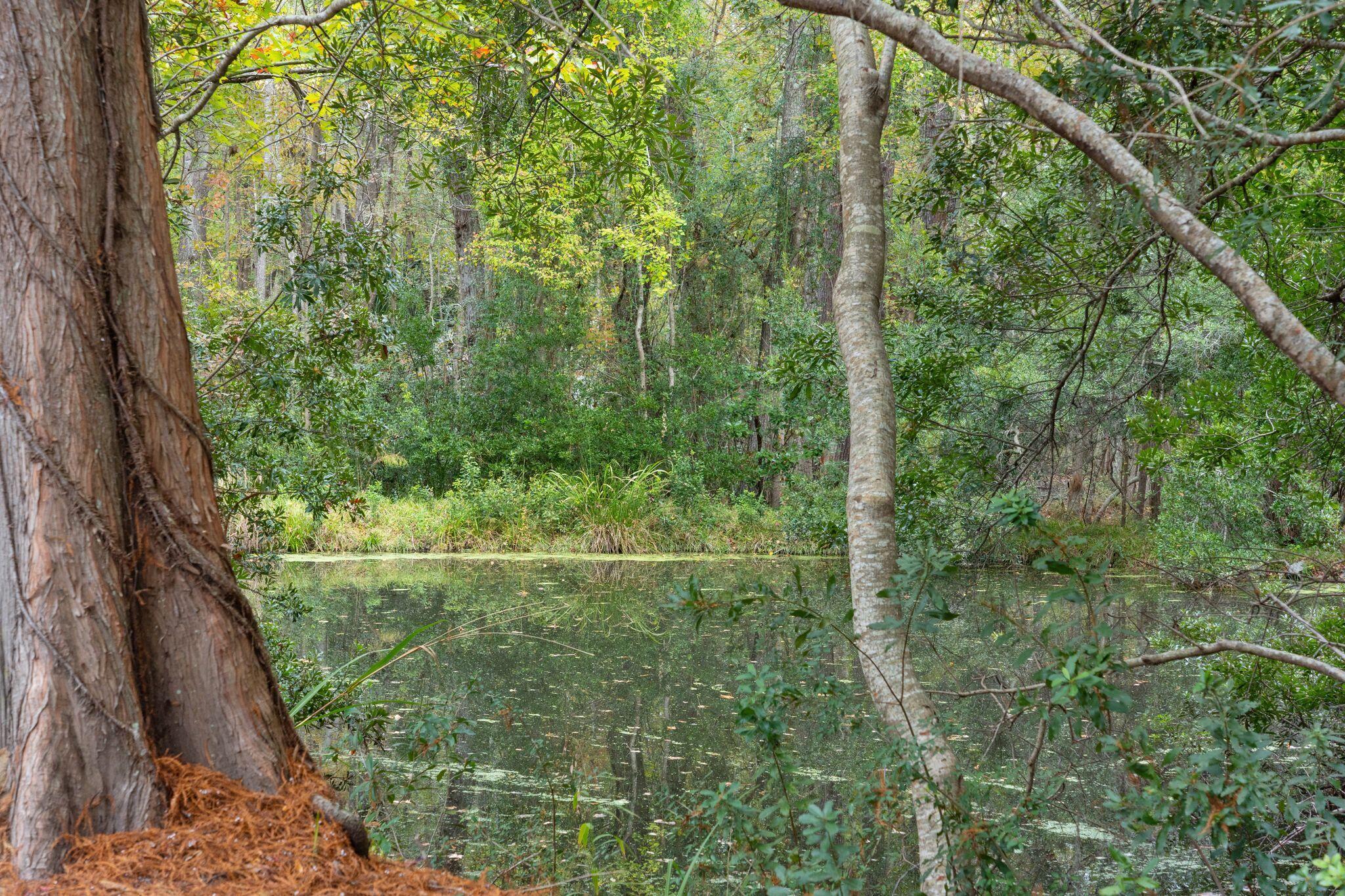 60 Fenwick Hall Allee # 1211