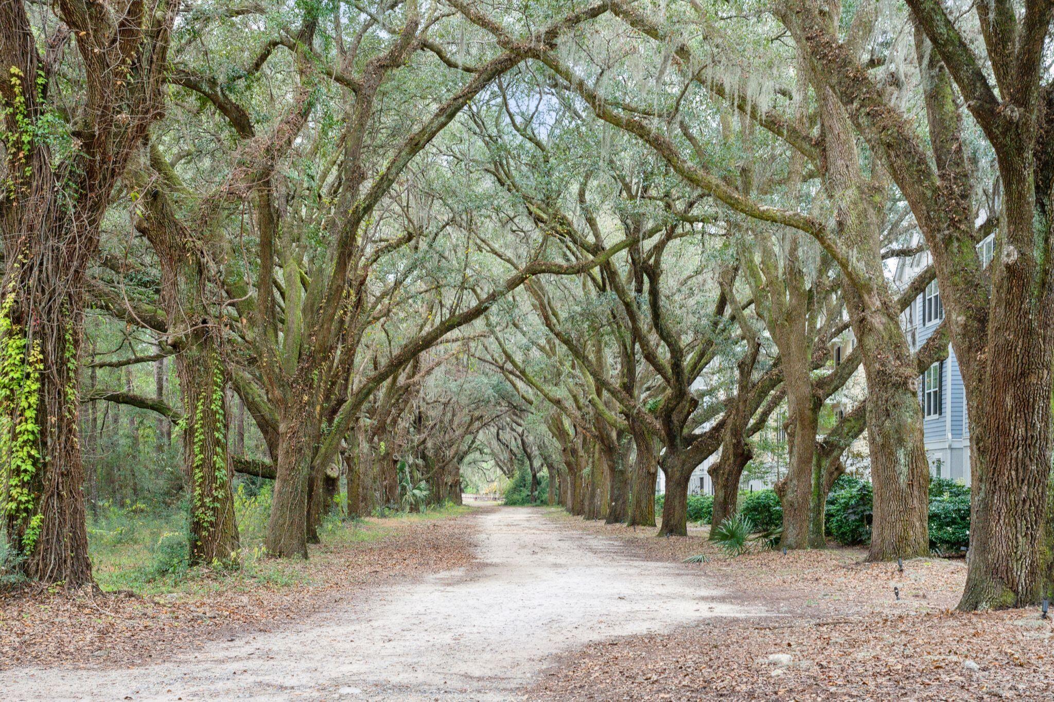 60 Fenwick Hall Allee # 1211