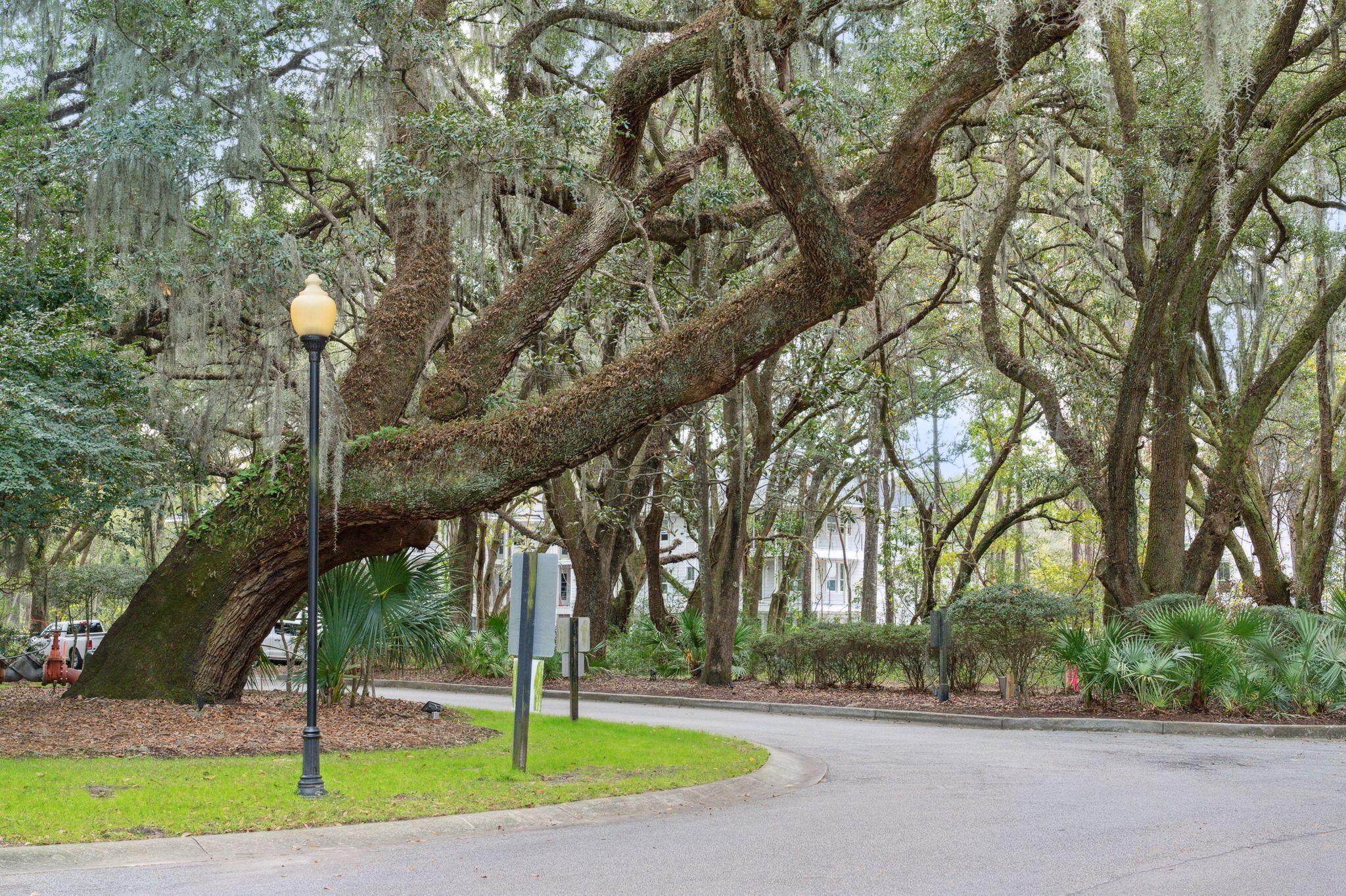 60 Fenwick Hall Allee # 1211