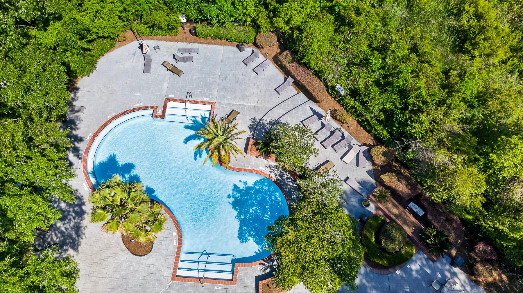 700 Daniel Ellis Drive Apt 12302