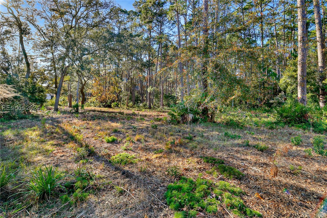 14 Remington Road
