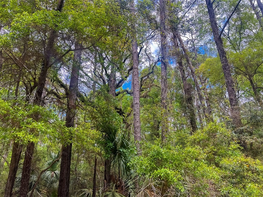 259 Old Haig Point Road
