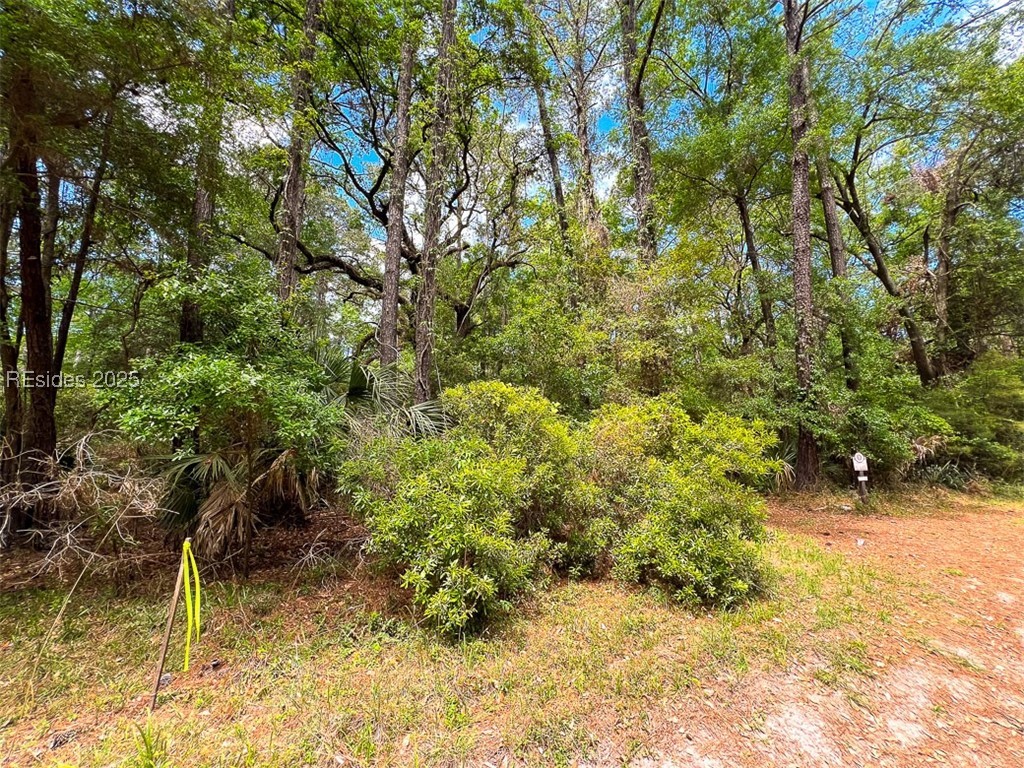 259 Old Haig Point Road