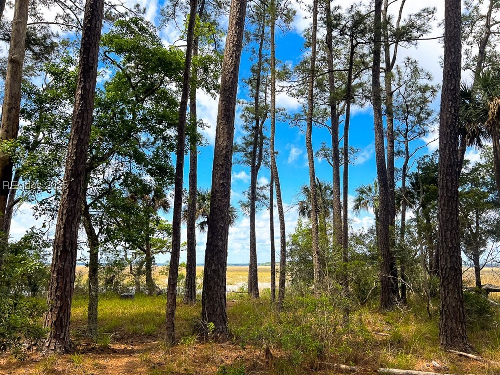 259 Old Haig Point Road