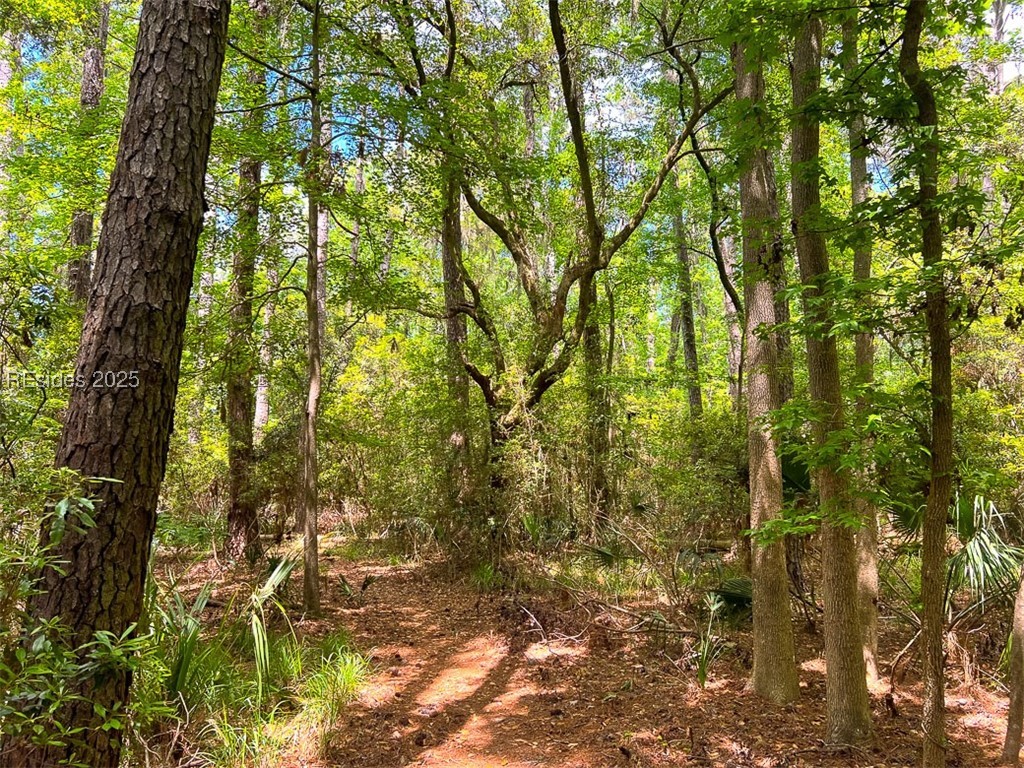 259 Old Haig Point Road