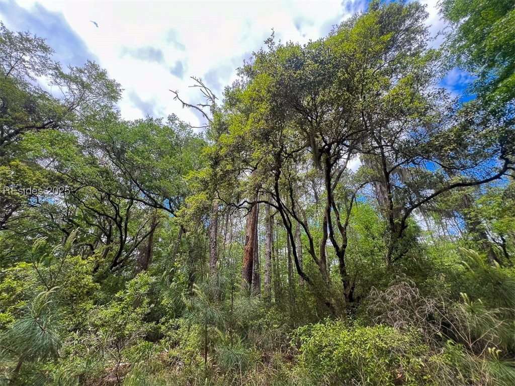 259 Old Haig Point Road
