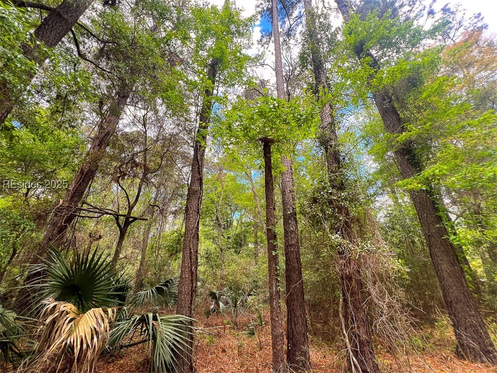 259 Old Haig Point Road