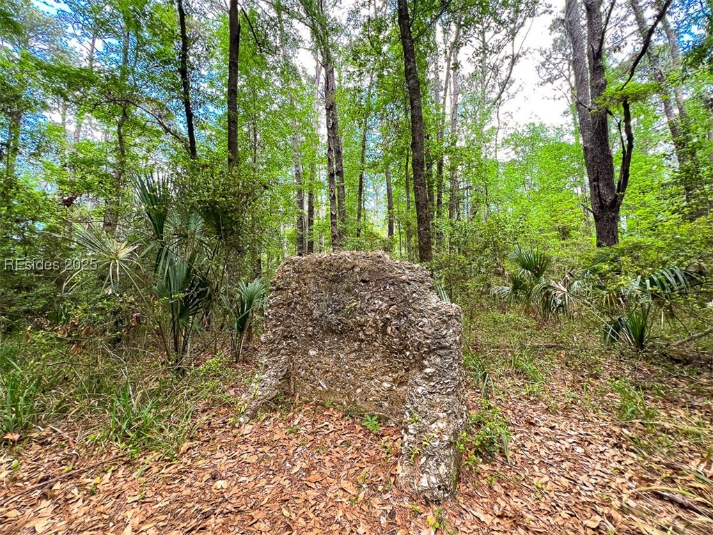 259 Old Haig Point Road