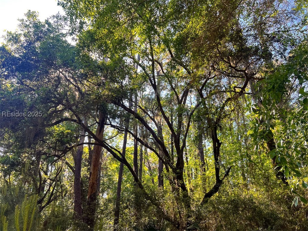 259 Old Haig Point Road