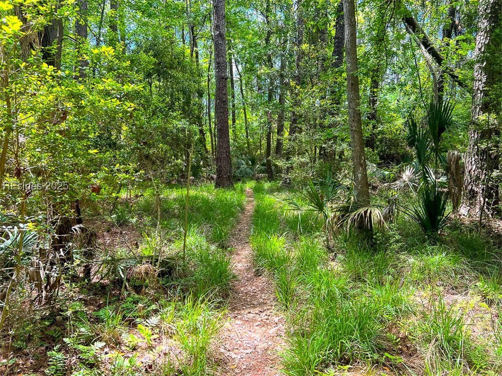 259 Old Haig Point Road
