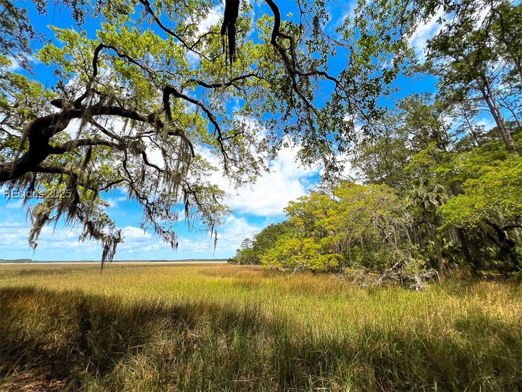 259 Old Haig Point Road