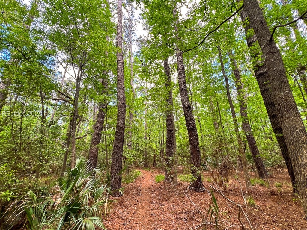 259 Old Haig Point Road