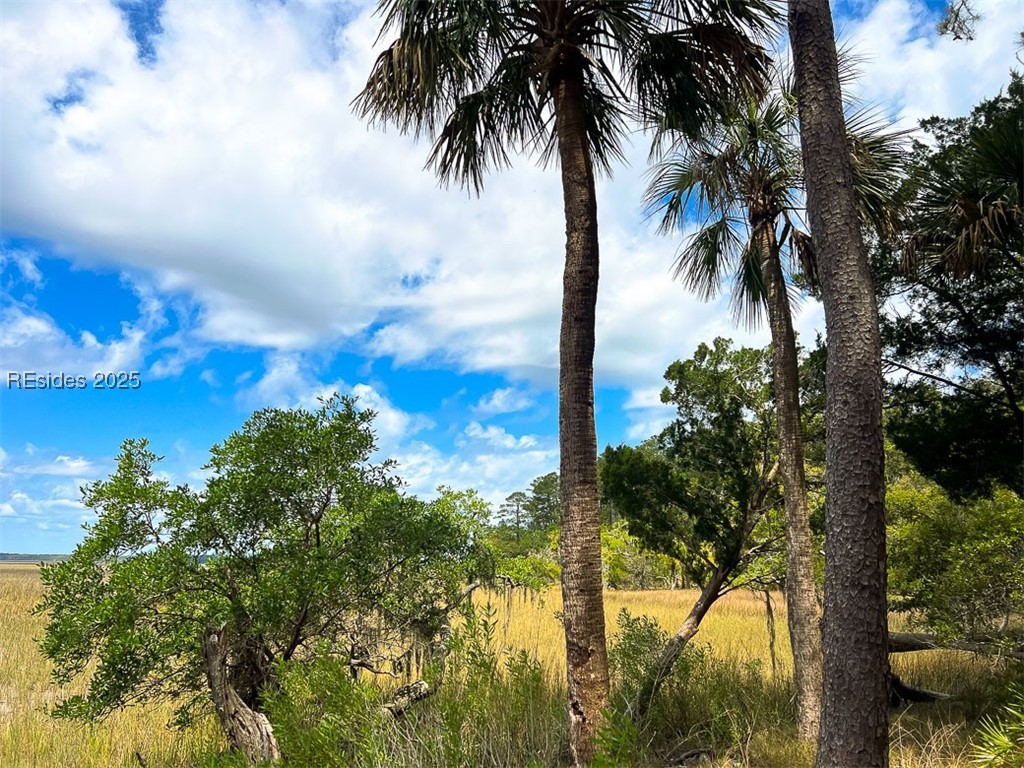 259 Old Haig Point Road